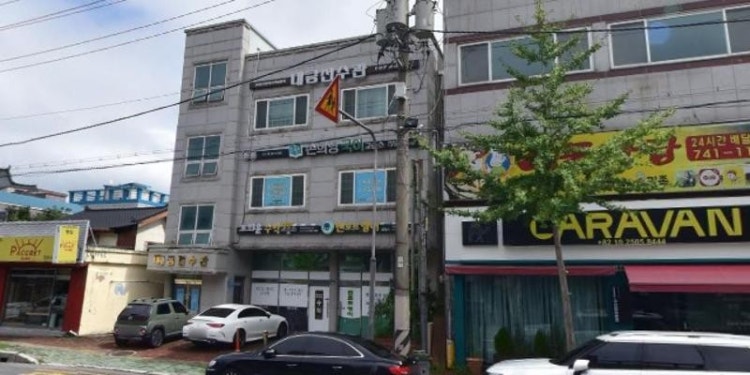 멘토르영어