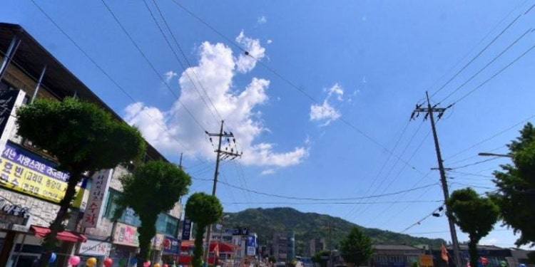 라이프니치수학