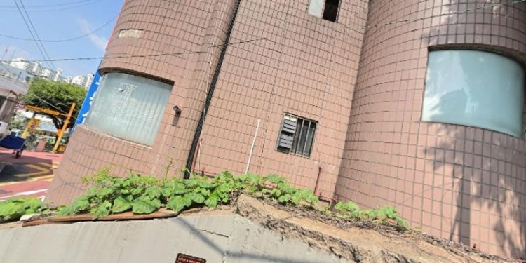은가비민족태권도 학원 대표 이미지