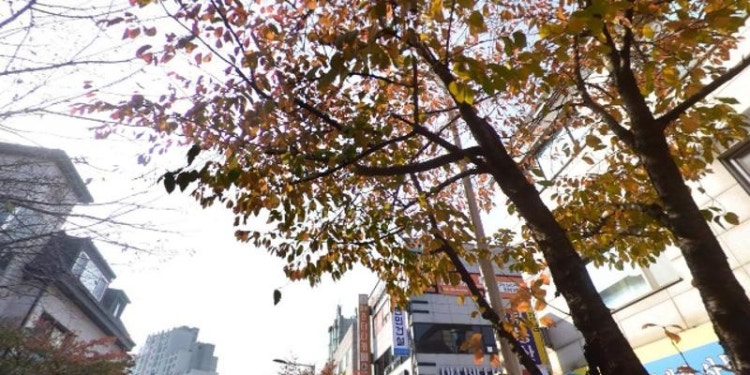 시그마신샘학원 대표 이미지