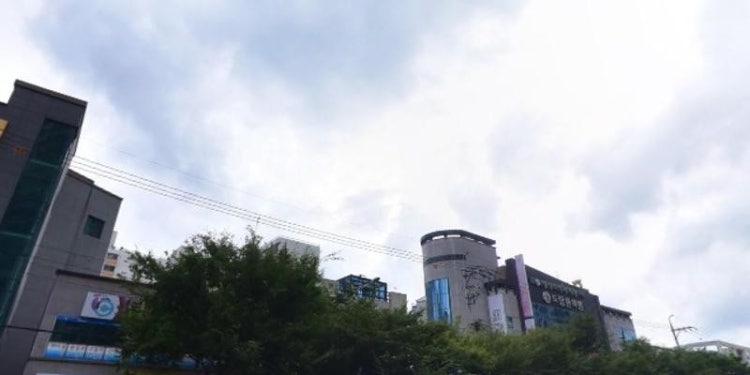 수풀림수학학원 대표 이미지