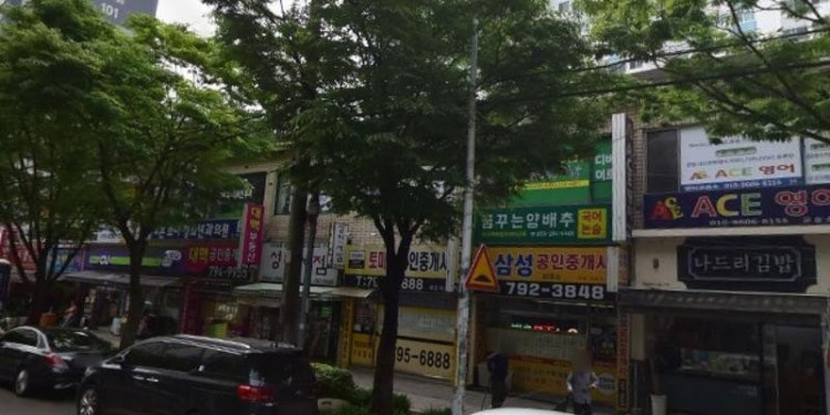꿈꾸는양배추논술교습소 대표 이미지