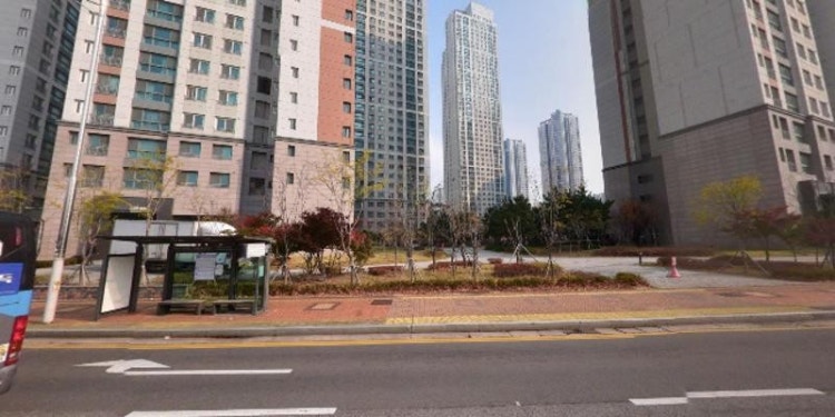디딤스터디센터 대표 이미지