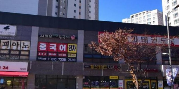 더클래식피아노 학원 대표 이미지