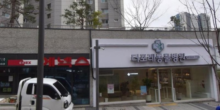 말하게 하는 영어 학원 대표 이미지