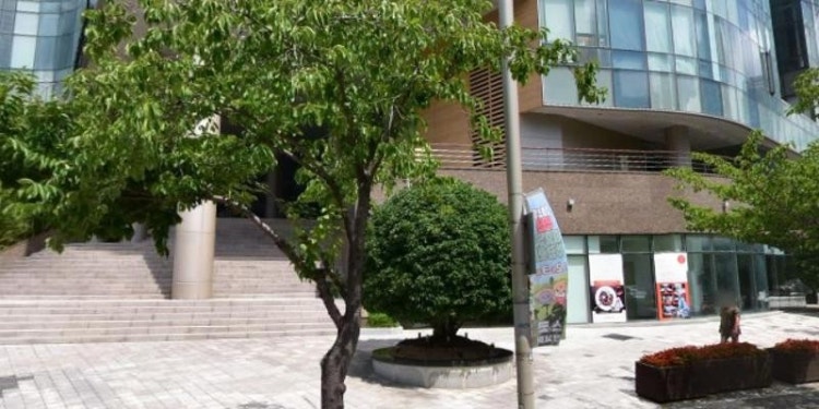 라쿠치나 아카데미 학원 대표 이미지
