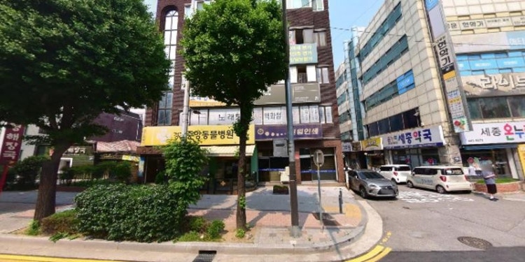 새싹음악학원 대표 이미지