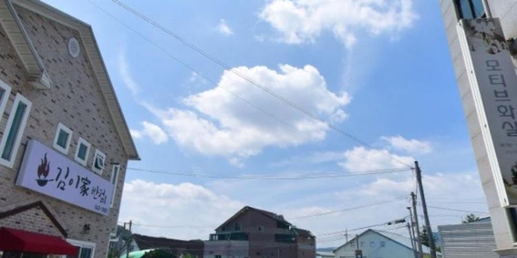 모티브화실