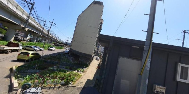 럭키무도학원 대표 이미지