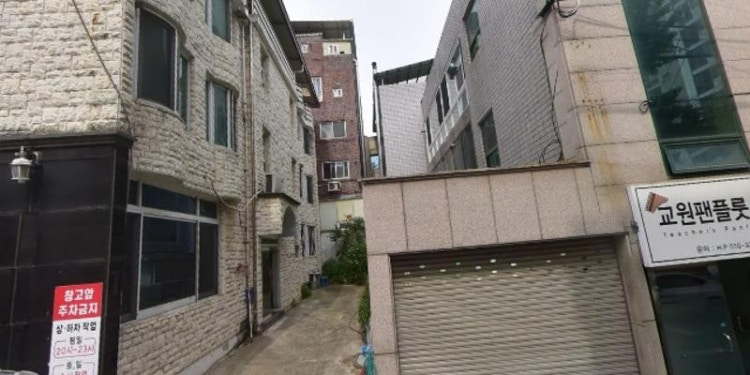 교원팬플룻사랑회 학원 대표 이미지