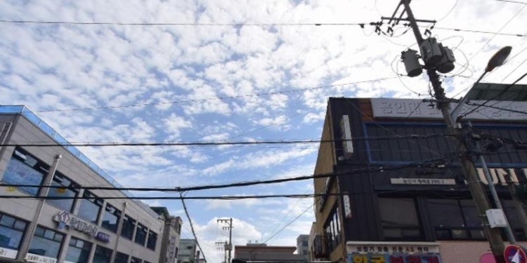 용인대합기도체육관 학원 대표 이미지