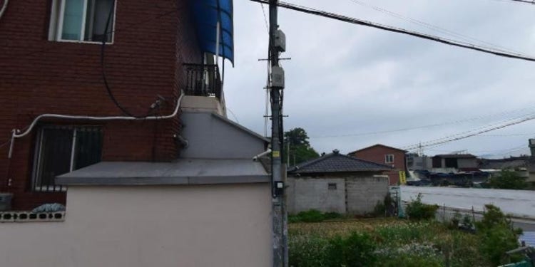 윤정플루트 학원 대표 이미지