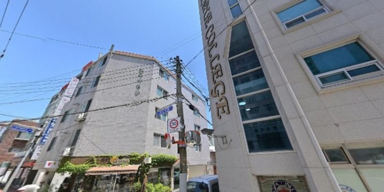 메이플 어학원 대표 이미지