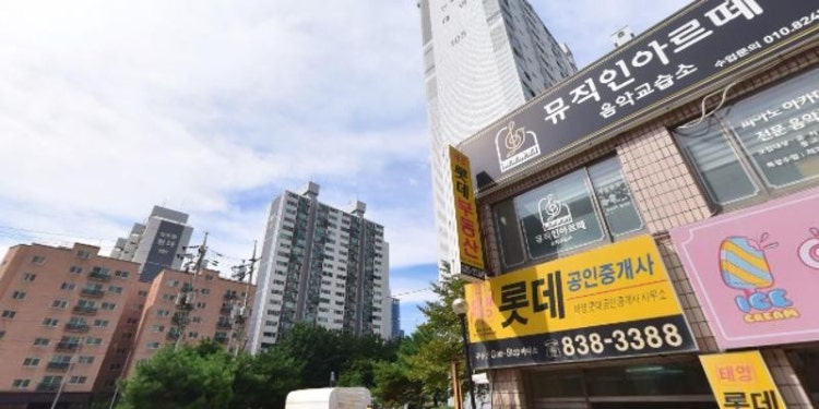 태영예지음악교습소 대표 이미지