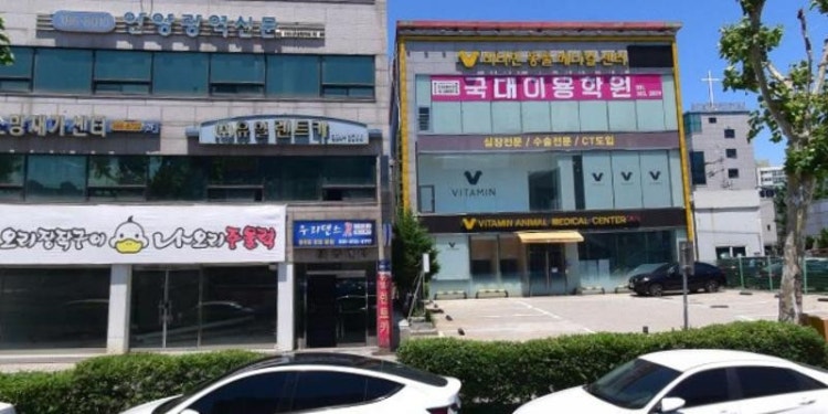 우리댄스 학원 대표 이미지