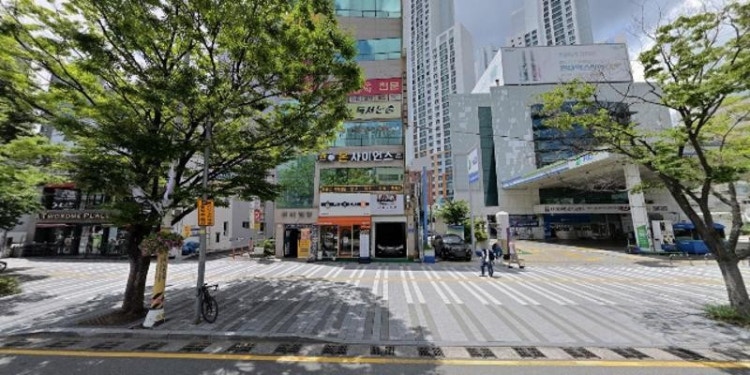 느티나무독서논술교습소 대표 이미지