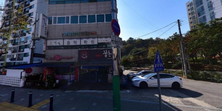 엘림음악학원 대표 이미지