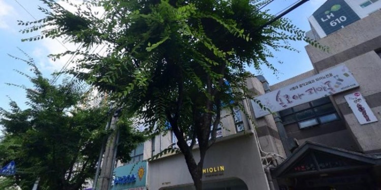 SnH캐피타운 삼천영어교습소