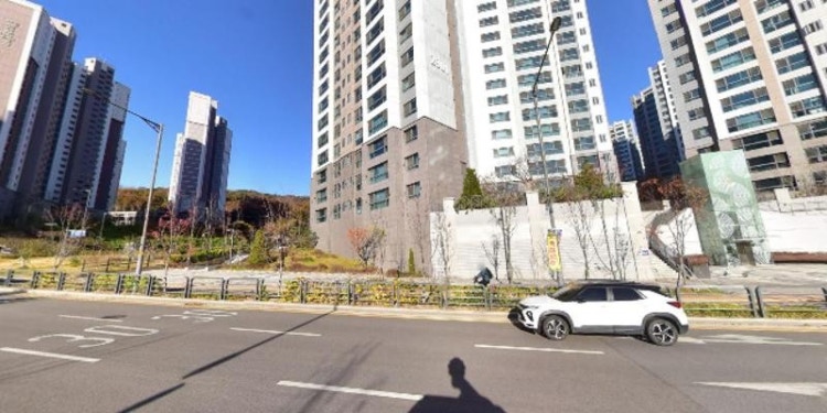 라이크리즈영어