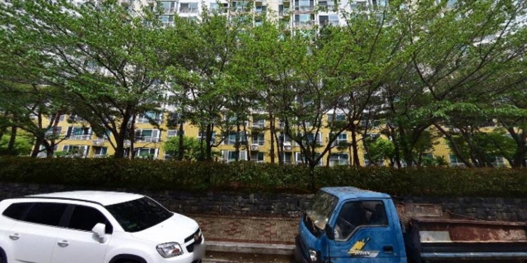 그레이스잉글리쉬 영어