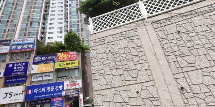 웨스영어교습소 대표 이미지