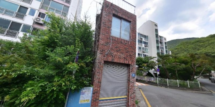 사과나무화실 학원 대표 이미지