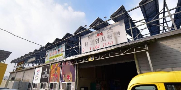 맥스체대입시학원 대표 이미지