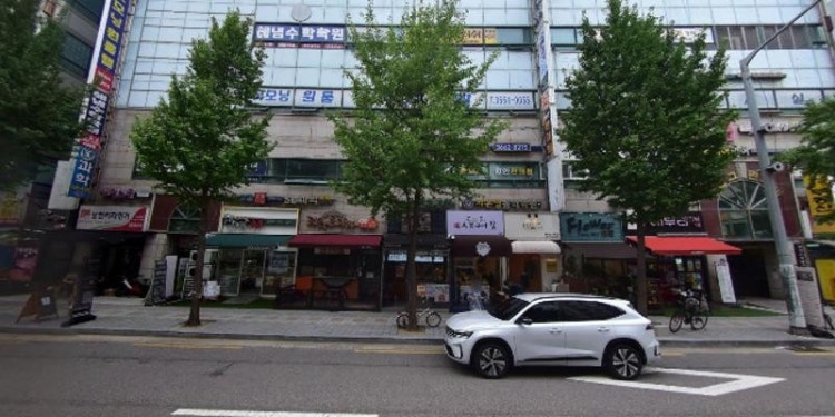 강서스즈끼음악학원 대표 이미지