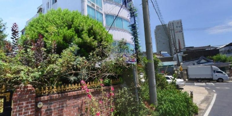 와이즈코딩러닝센터학원 대표 이미지
