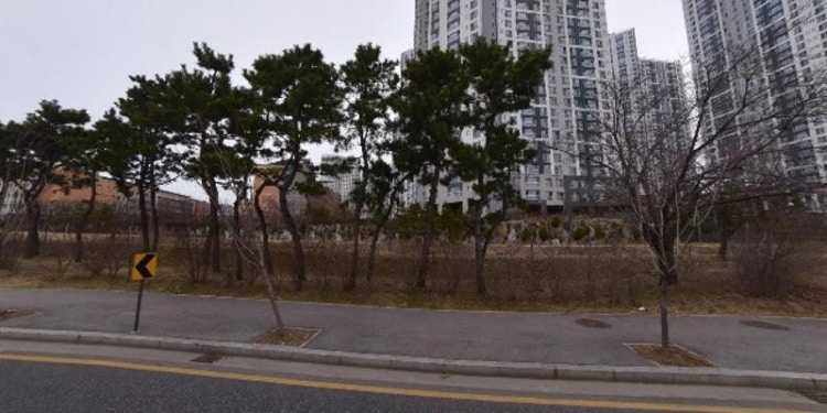 차이랑중국어 배곧한라캠퍼스 학원 대표 이미지