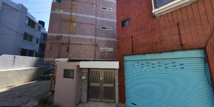 여명바이올린학원 대표 이미지