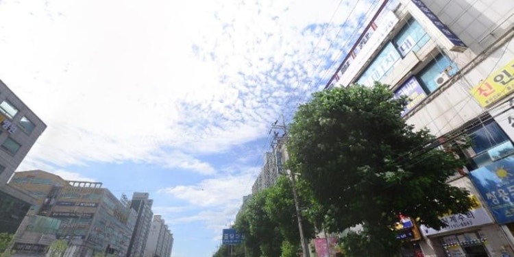 스카이어학원 대표 이미지