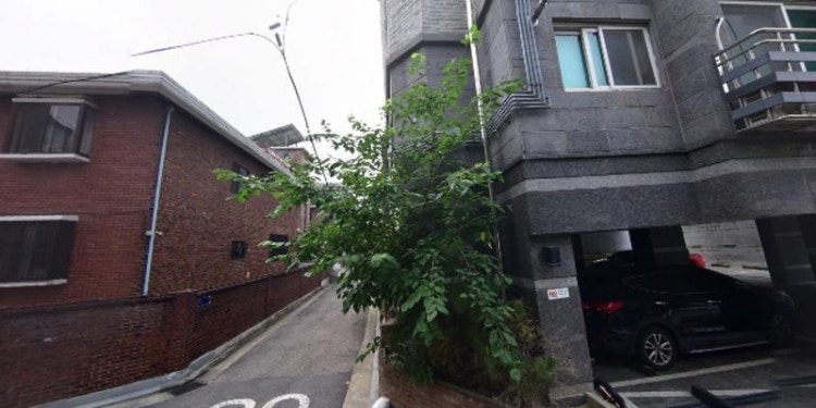 영피아노 학원 대표 이미지