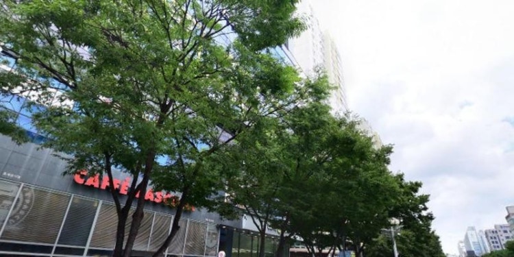 그레이스English어학원 대표 이미지